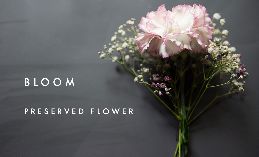 メインビジュアル01