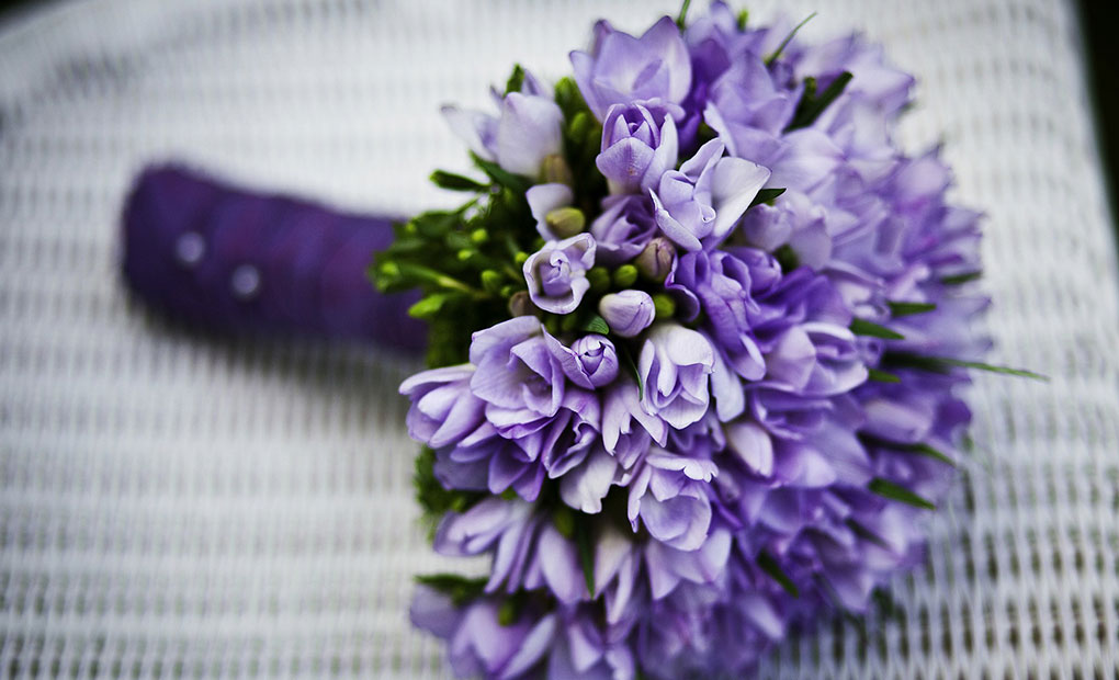 メインビジュアル02